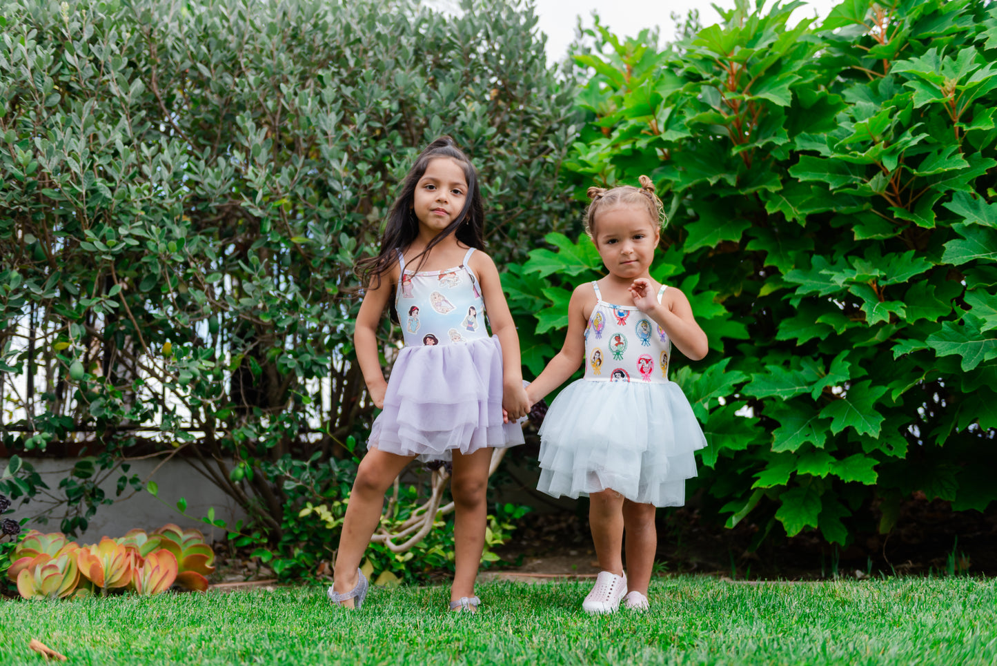 Princess Tulle Dress