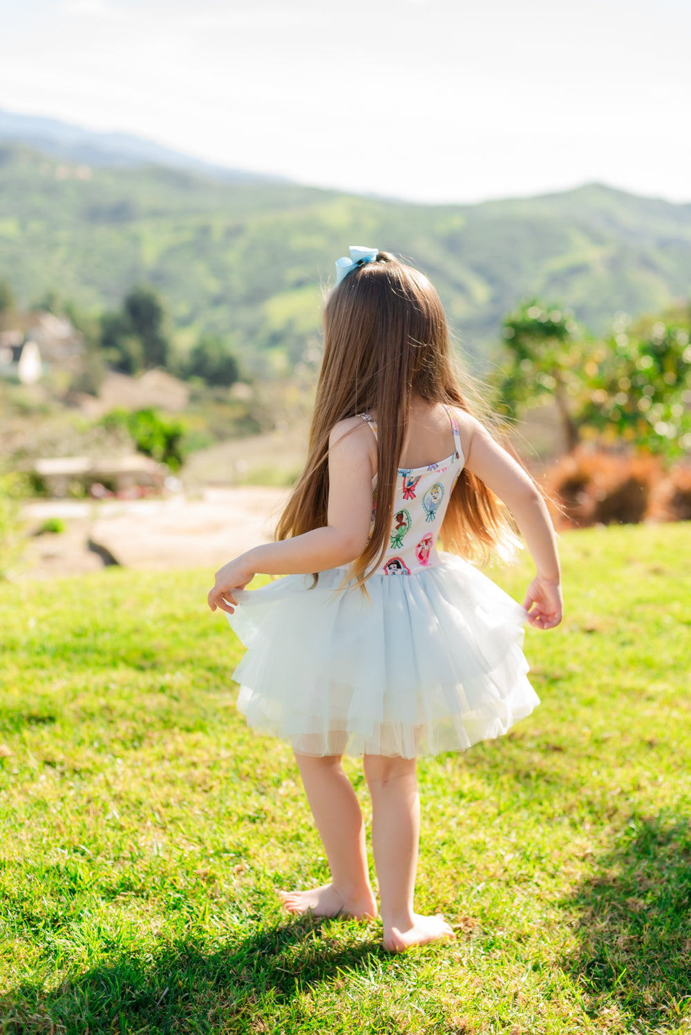 Princess Tulle Dress